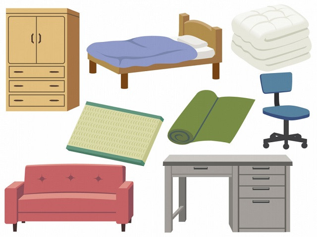 ขยะชิ้นใหญ่  (粗大ごみ Sodaigomi)