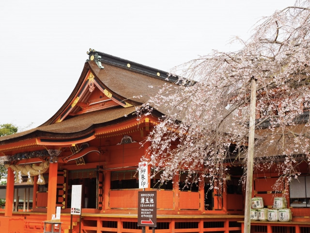 Fujisan Hongu Sengen Taisha