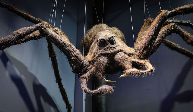 แฮร์รี่ พอตเตอร์ โตเกียว