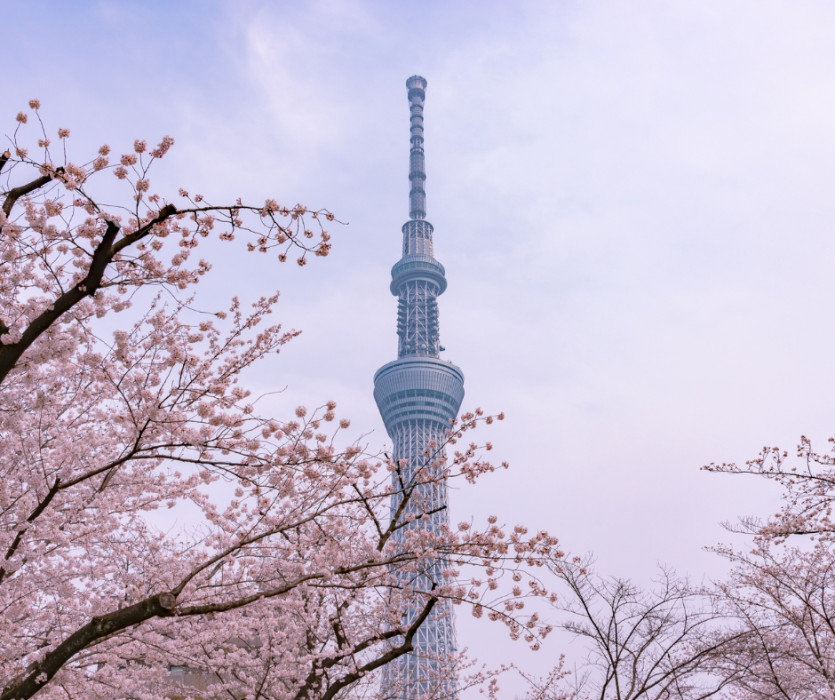 Công viên Sumida (隅田公園)