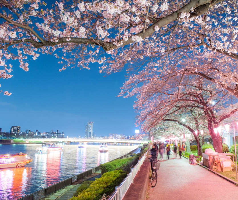 Công viên Sumida (隅田公園)