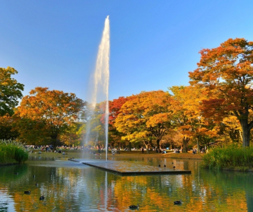 Công viên Yoyogi (代々木公園)