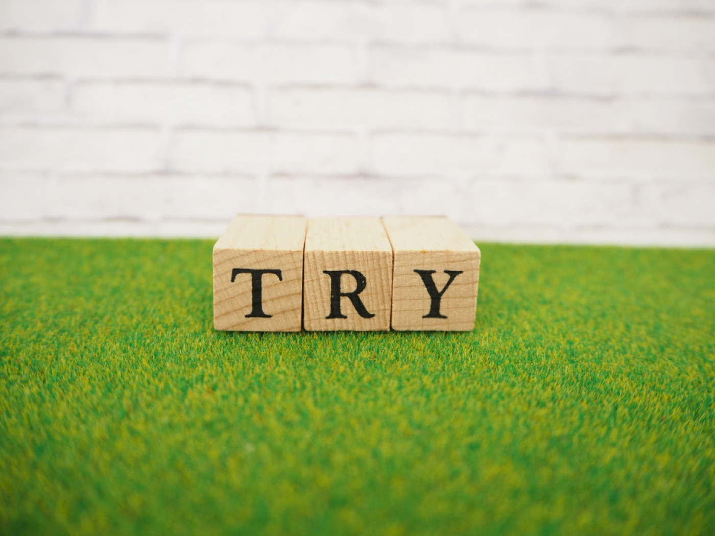 일본 워킹홀리데이 이유서 계획서 이미지