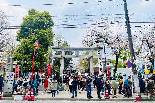 เทศกาลแห่ลึงค์ ญี่ปุ่น