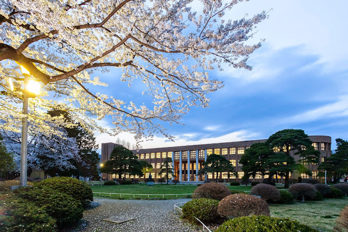 東北大學