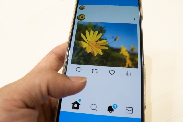 「映える」の語源はインスタグラムから？の画像