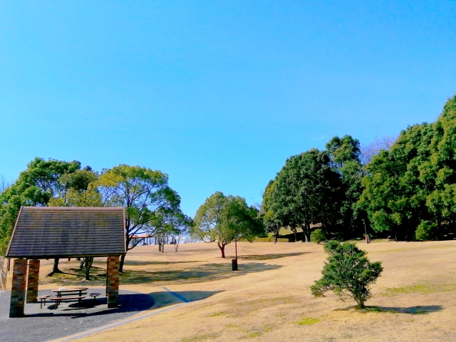 「映える」はもう時代遅れなの？の画像