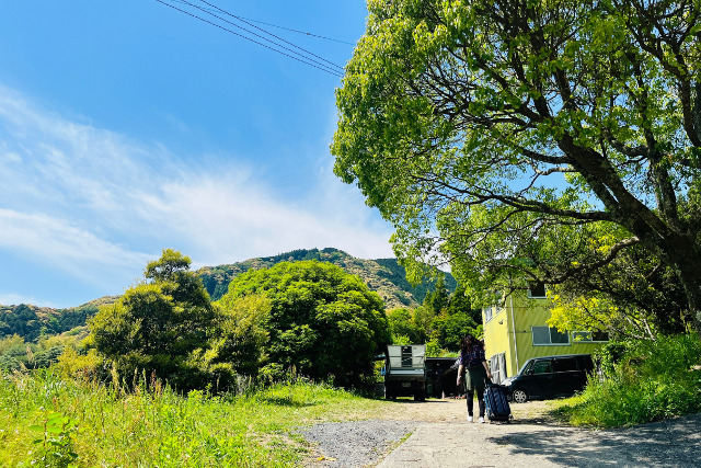 เก็บชา พักโฮมสเตย์ ที่ญี่ปุ่น