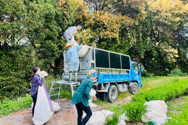 เก็บชา พักโฮมสเตย์ ที่ญี่ปุ่น