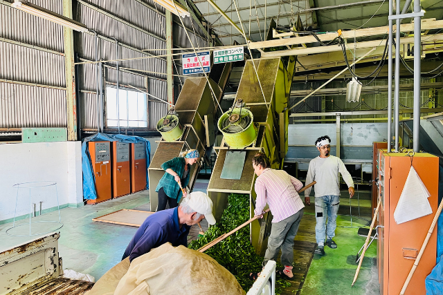 โรงงาน ชา ญี่ปุ่น