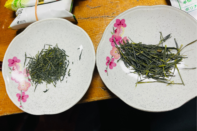 ชาญี่ปุ่น ชาดิบ