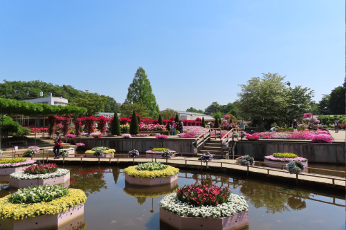 あしかがフラワーパーク（栃木県）の画像