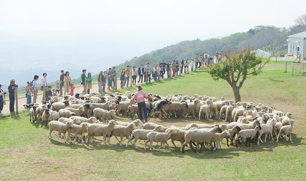 マザー牧場（千葉県）の画像