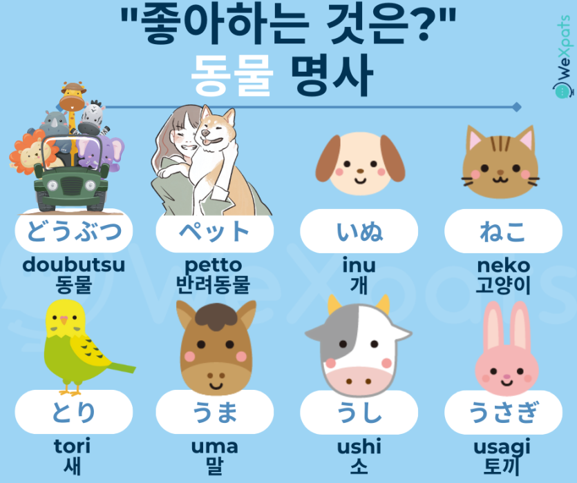 JLPT N5 명사 일본어 동물