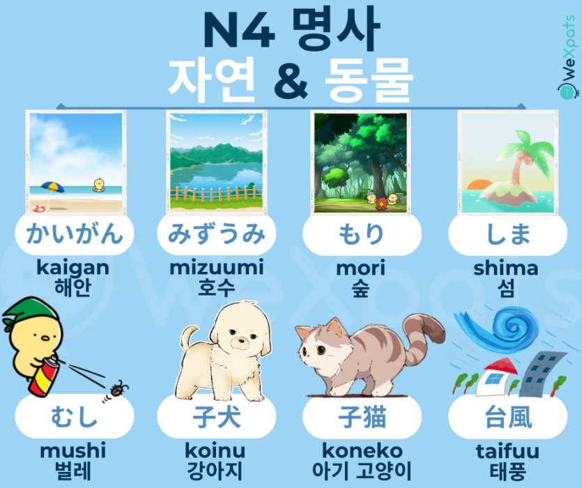 JLPT N4 명사 - 일본어 자연 단어, 일본어 동물 단어 이미지