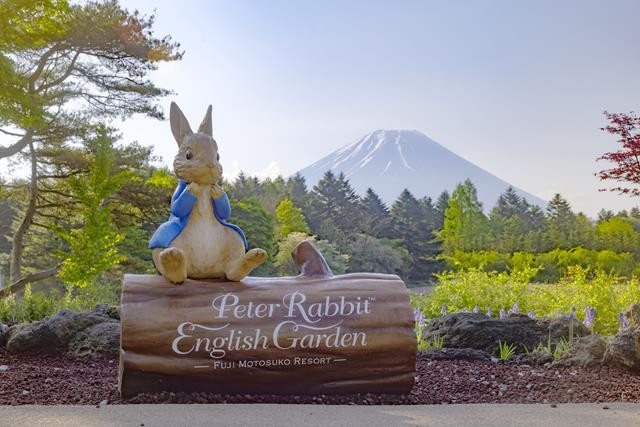 8. Peter Rabbit English Garden