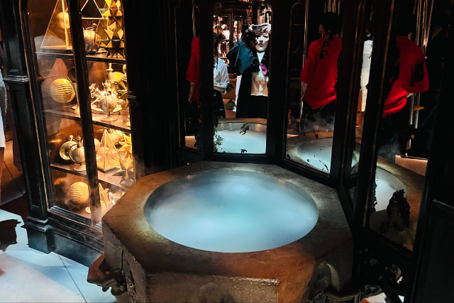 เพนซีฟ (The Pensieve)