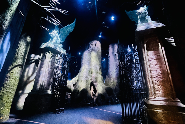 ป่าต้องห้าม (Forbidden Forest)