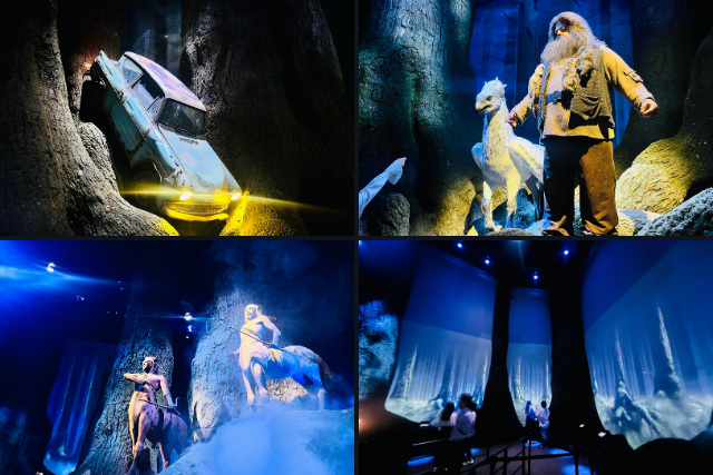 ป่าต้องห้าม (Forbidden Forest)