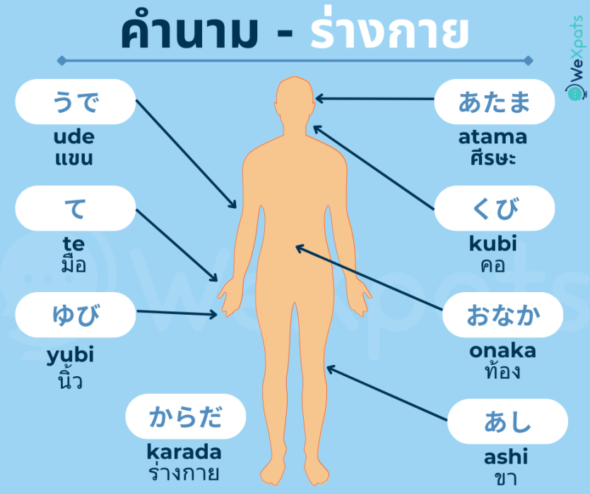 คำนามน่ารู้ JLPT ระดับ N5