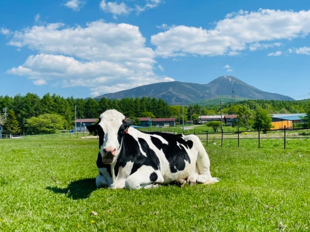 current state of dairy farming in japan