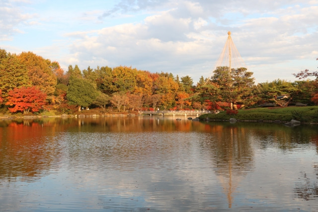 國營昭和記念公園