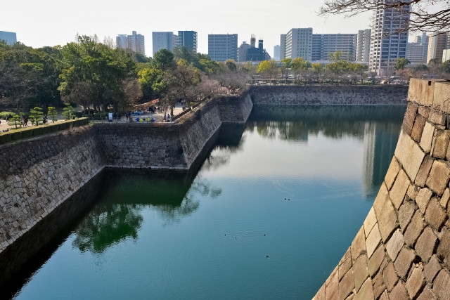 오사카성 공원 니오이노 모리 금목서