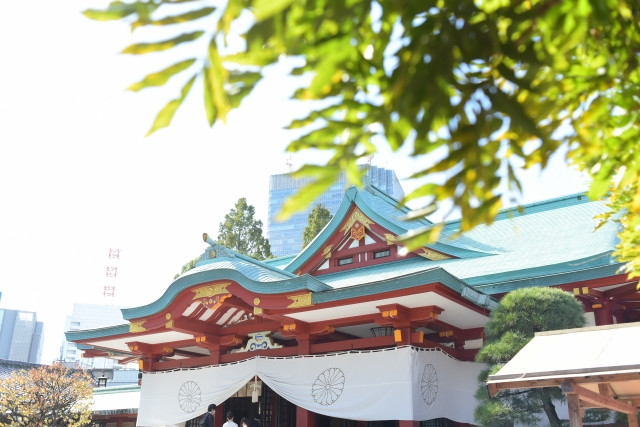 히에신사 금목서 이미지