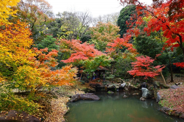 สวนริคุกิเอน (六義園)