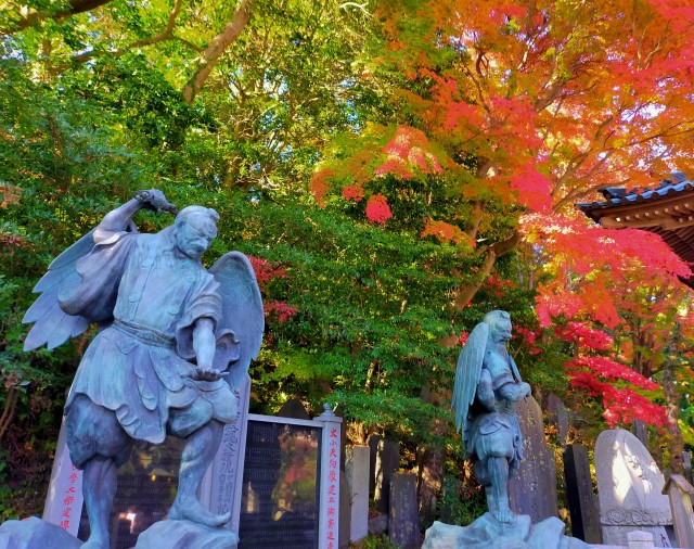 ภูเขาทาคาโอะ (高尾山)