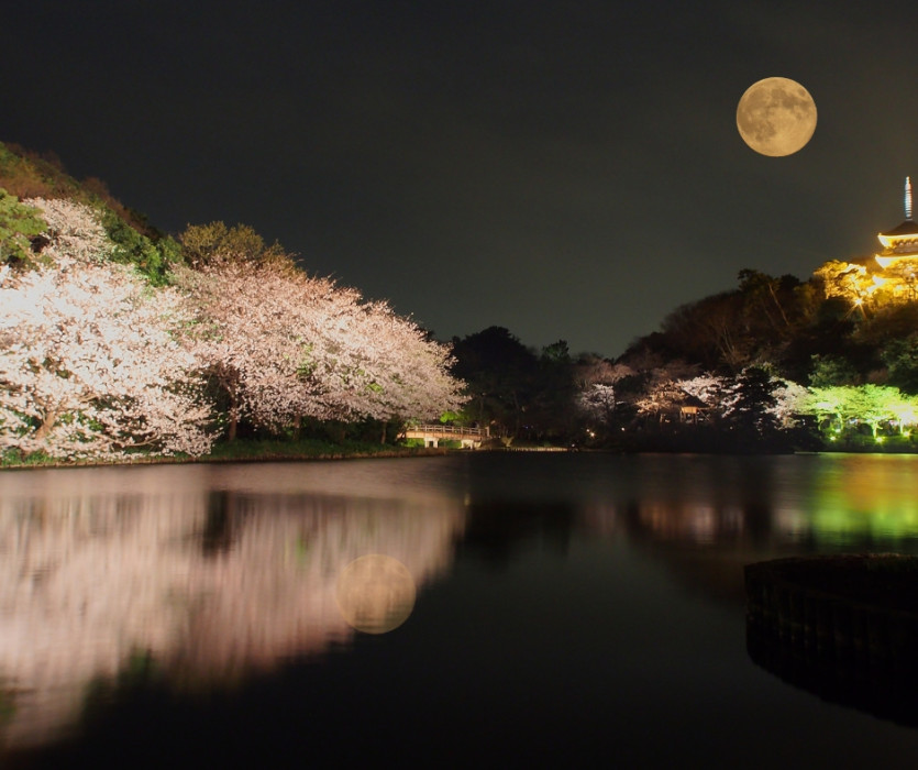 tết trung thu nhật bản