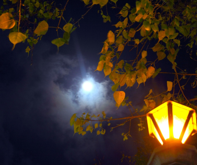 tết trung thu nhật bản