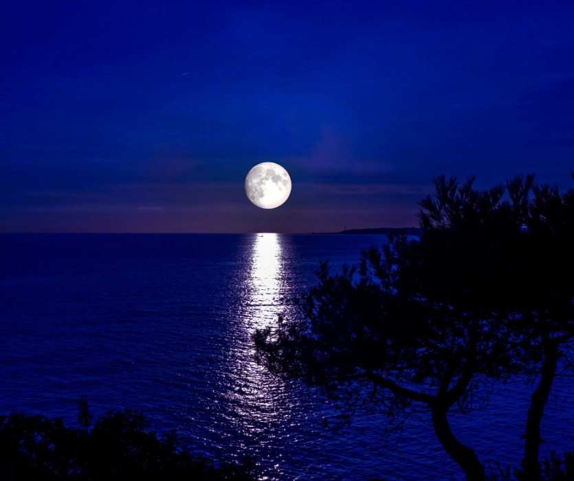 tết trung thu nhật bản