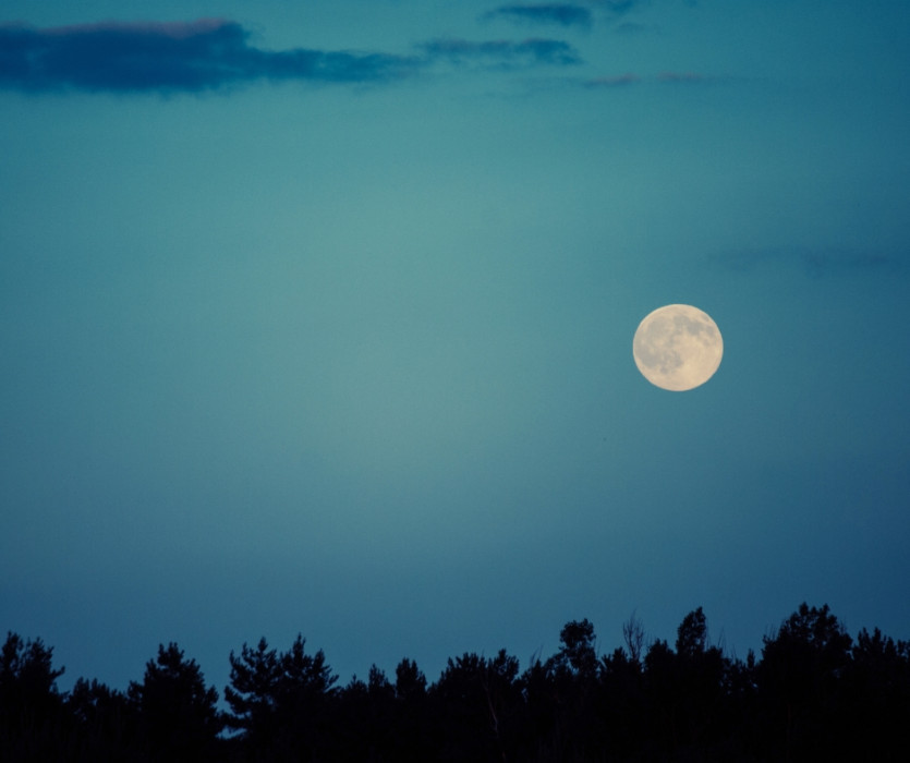 tết trung thu nhật bản