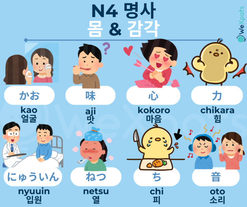 JLPT N4 명사 - 몸・감각 이미지