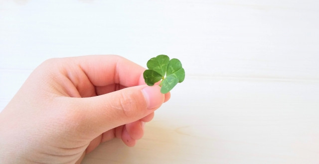 요츠바(四つ葉; よつば) / 네 잎 (클로버) 이미지