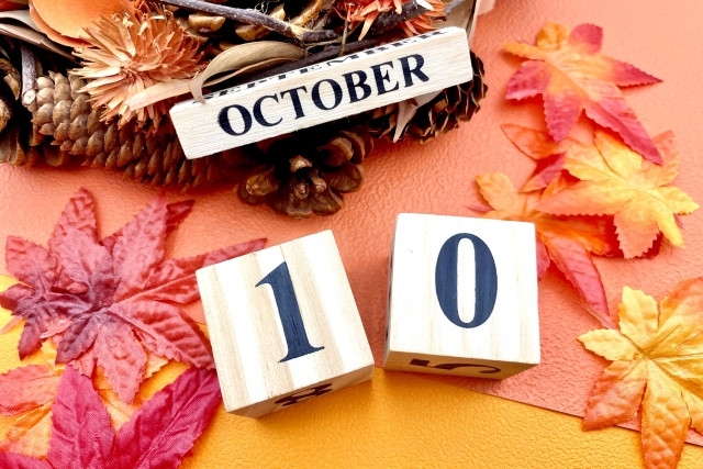 짓코(十個; じっこ) / 10개 이미지