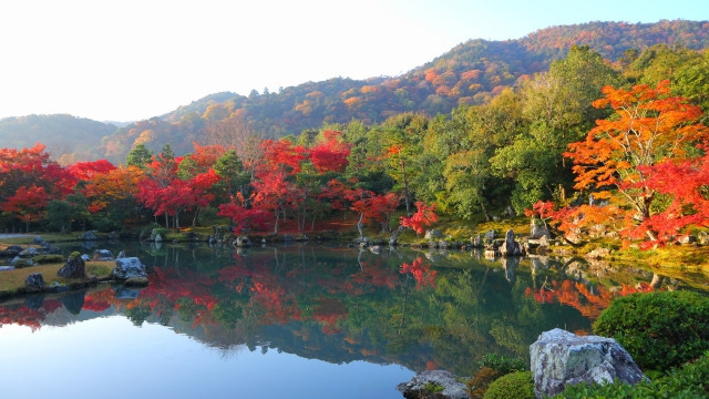 덴류지 / 天龍寺 / てんりゅうじ 이미지