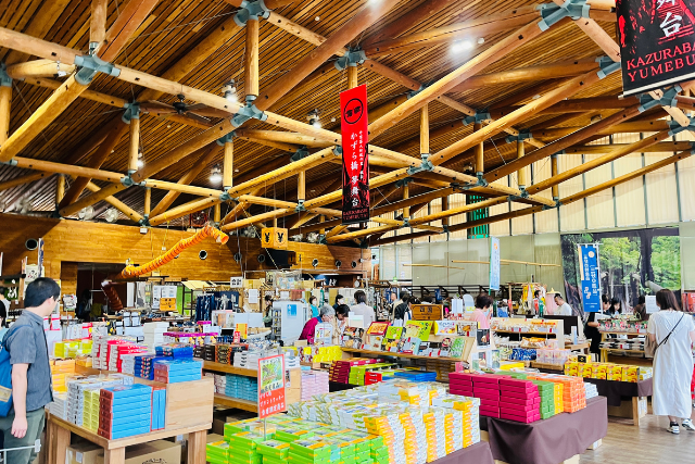 รีวิว สะพานเถาวัล