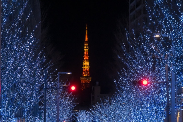일루미네이션 감상 포인트 이미지 도쿄 롯폰기 일루미네이션