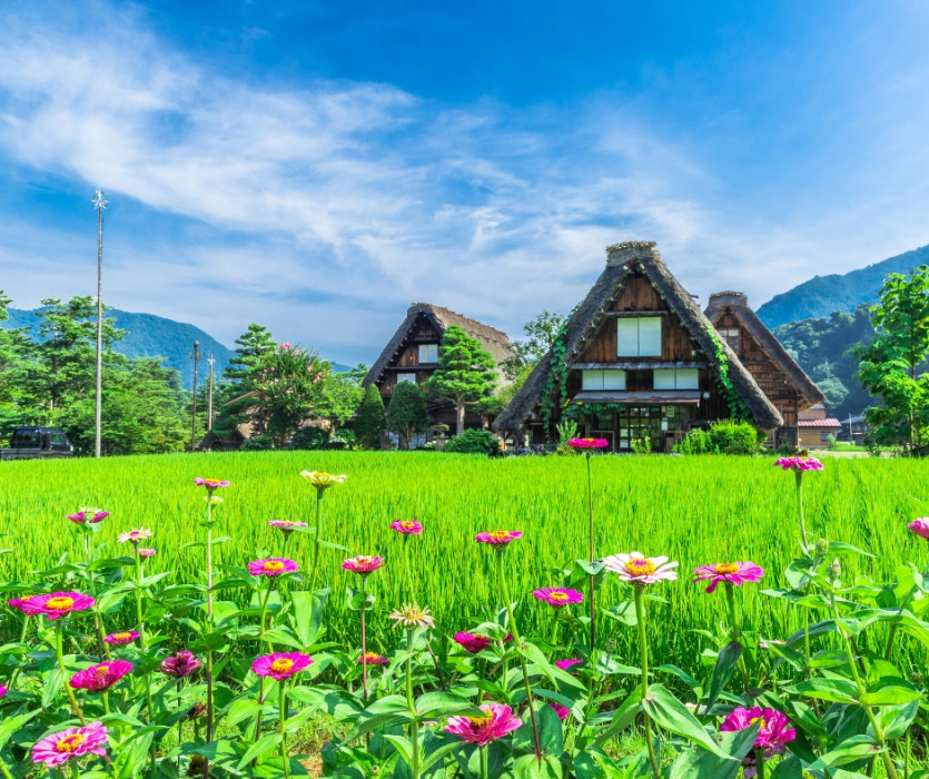 làng cổ Shirakawago