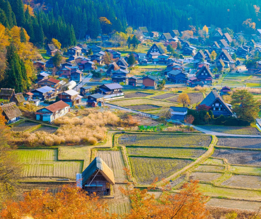 làng cổ Shirakawago