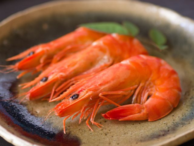 에비(海老; エビ) [새우] 이미지