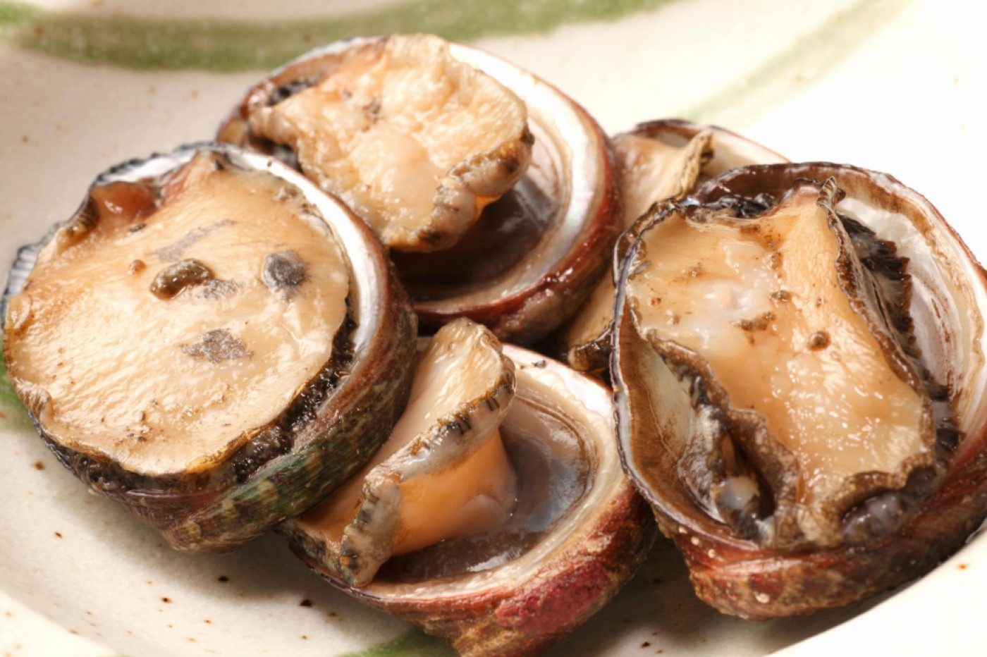 토코부시(トコブシ) [오분자기(작은전복)] 이미지