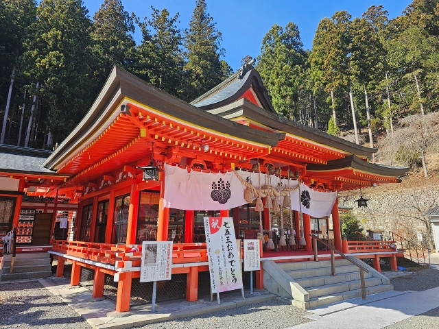 重陽の節句の画像