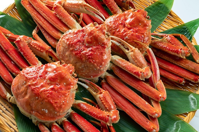 Mùa đông Nhật Bản