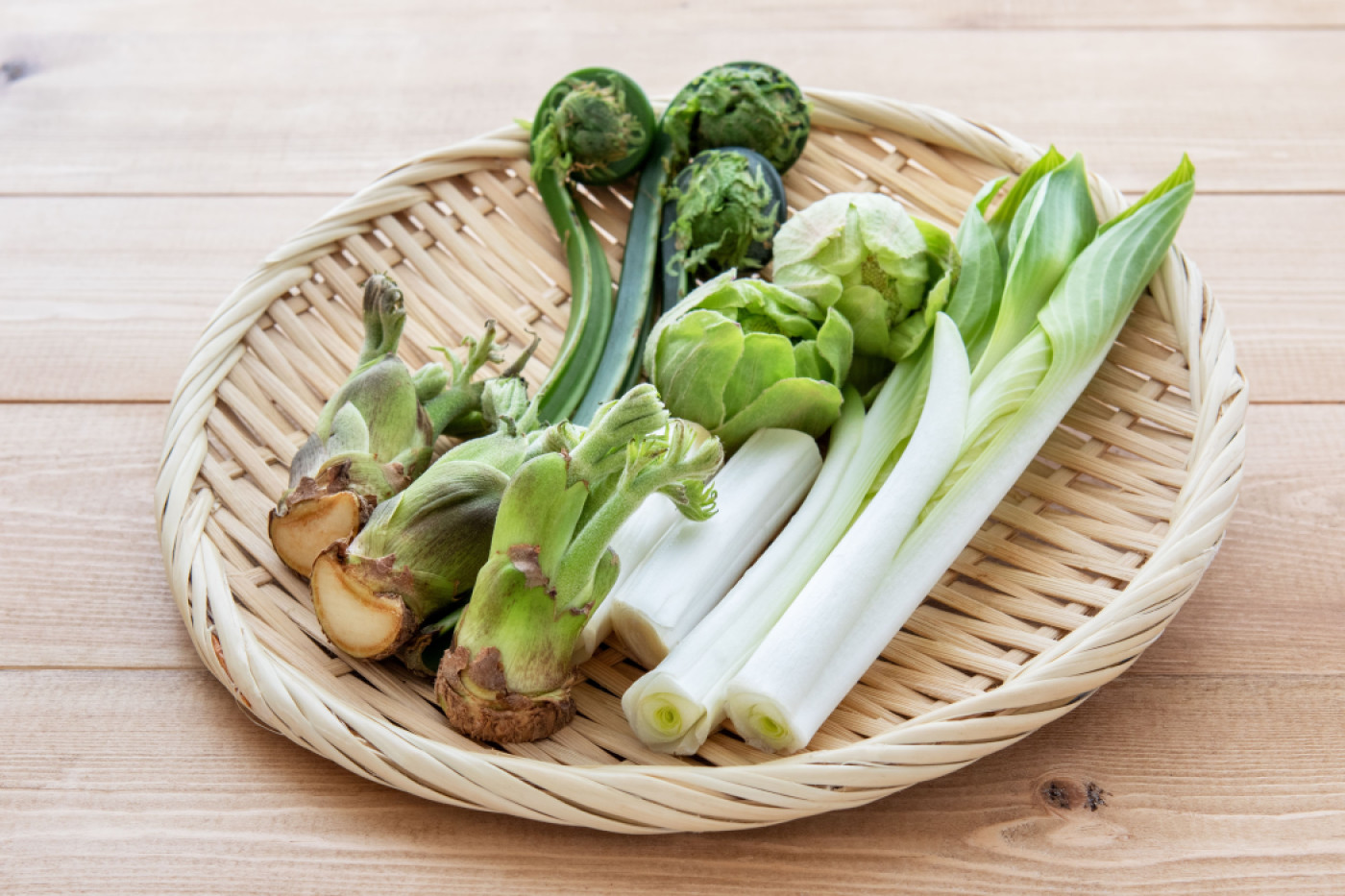 春の魅力の画像