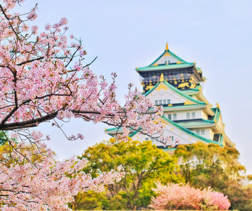 Lễ hội hoa anh đào Hanami