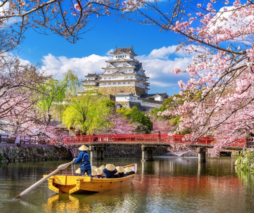 Lễ hội hoa anh đào Hanami