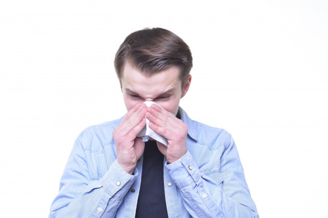 일본 꽃가루 알레르기 외국인 이미지